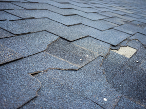 Damaged Roof Shingles in Columbia that need repair services