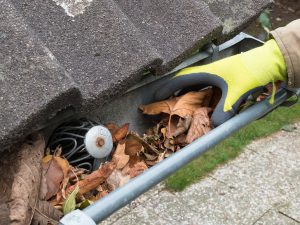 Homeowner cleaning gutters as part of their Bowie Roofing maintenance checklist
